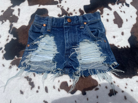 2T VINTAGE WRANGLERS